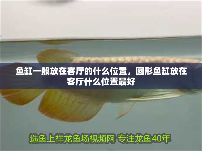 魚缸一般放在客廳的什么位置，圓形魚缸放在客廳什么位置最好