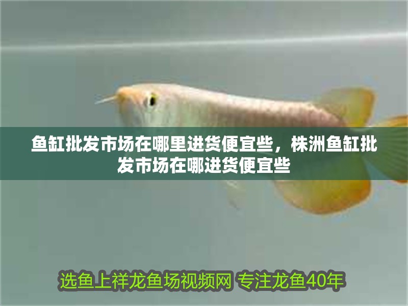 魚缸批發(fā)市場在哪里進貨便宜些，株洲魚缸批發(fā)市場在哪進貨便宜些