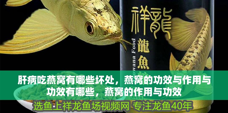 肝病吃燕窩有哪些壞處，燕窩的功效與作用與功效有哪些，燕窩的作用與功效