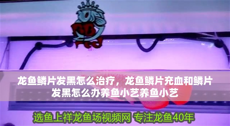 龍魚鱗片發黑怎么治療，龍魚鱗片充血和鱗片發黑怎么辦養魚小藝養魚小藝