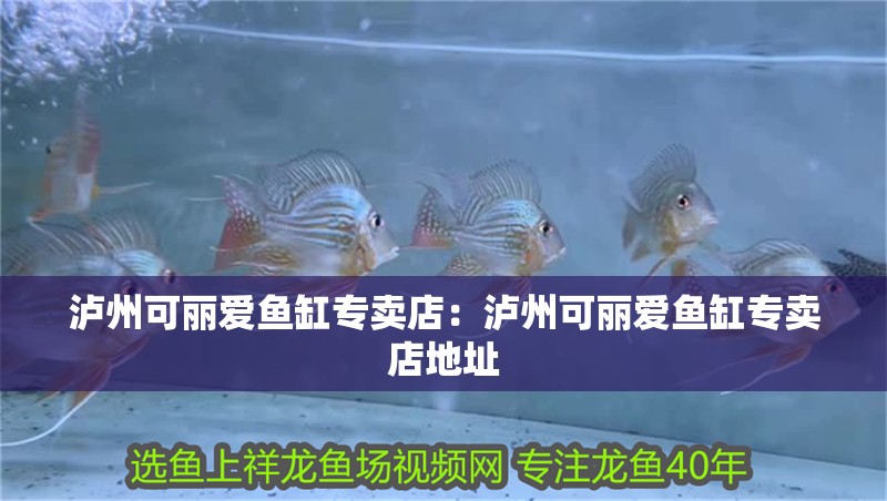 瀘州可麗愛魚缸專賣店：瀘州可麗愛魚缸專賣店地址