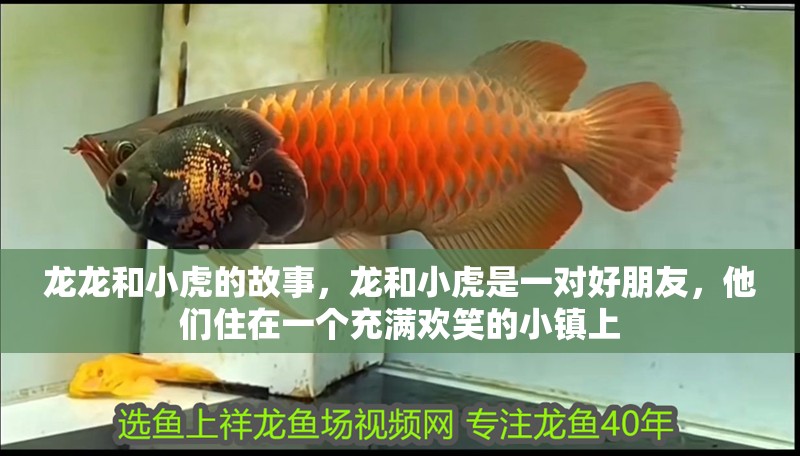 龍龍和小虎的故事，龍和小虎是一對好朋友，他們住在一個充滿歡笑的小鎮上