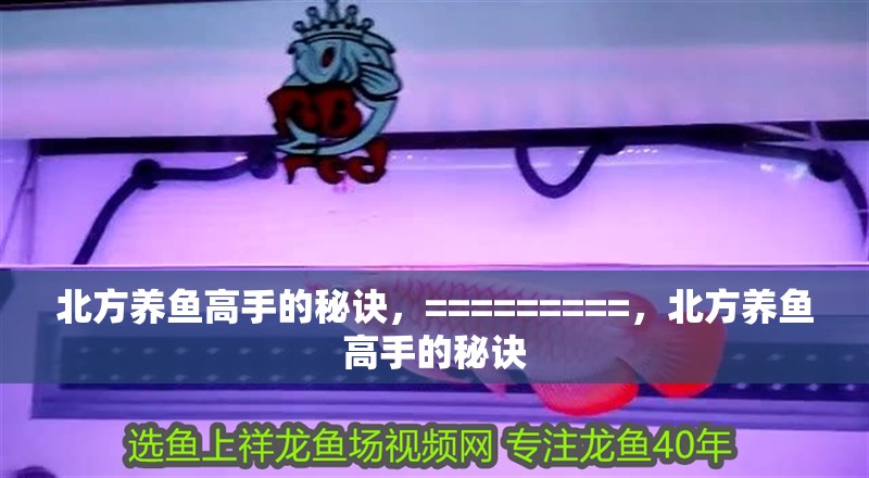 北方養(yǎng)魚(yú)高手的秘訣，=========，北方養(yǎng)魚(yú)高手的秘訣