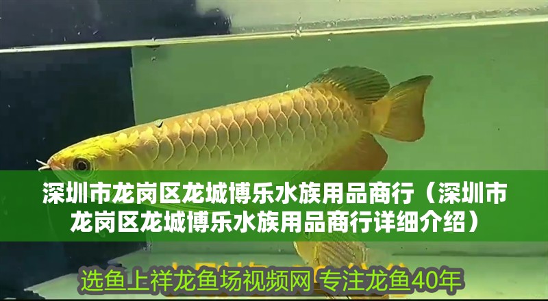 深圳市龍崗區龍城博樂水族用品商行（深圳市龍崗區龍城博樂水族用品商行詳細介紹）