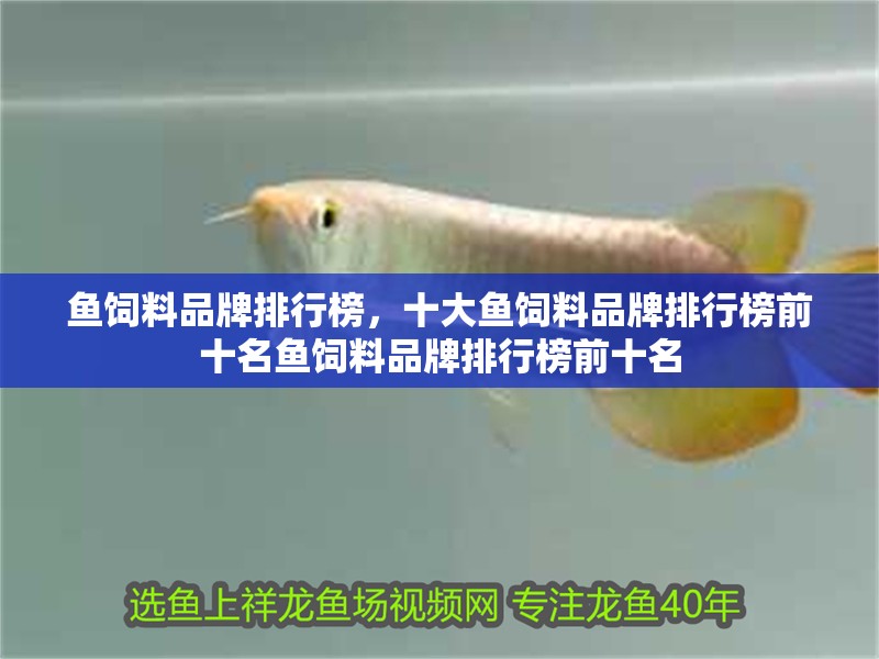 魚飼料品牌排行榜，十大魚飼料品牌排行榜前十名魚飼料品牌排行榜前十名