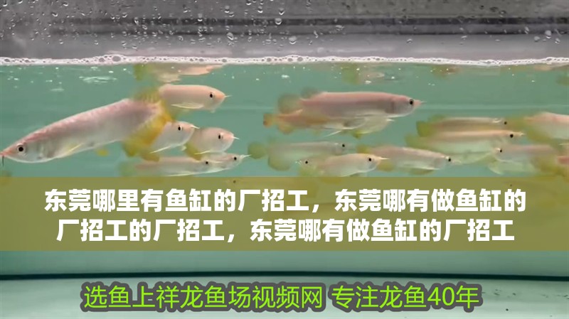 東莞哪里有魚缸的廠招工，東莞哪有做魚缸的廠招工的廠招工，東莞哪有做魚缸的廠招工