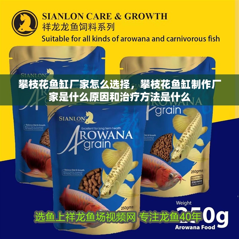 攀枝花魚缸廠家怎么選擇，攀枝花魚缸制作廠家是什么原因和治療方法是什么
