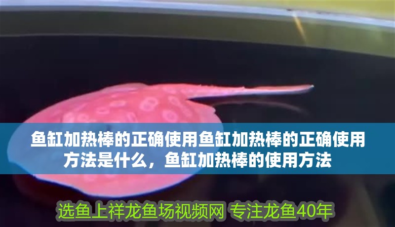 魚缸加熱棒的正確使用魚缸加熱棒的正確使用方法是什么，魚缸加熱棒的使用方法