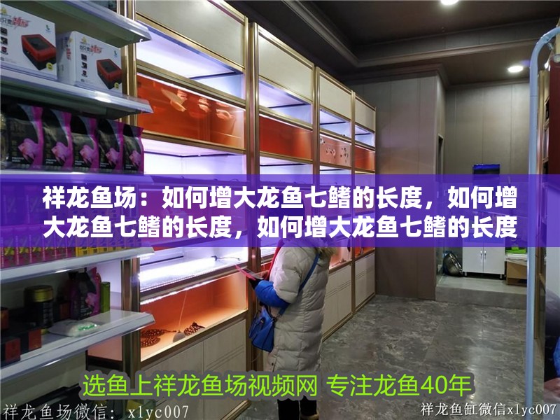 祥龍魚場(chǎng)：如何增大龍魚七鰭的長(zhǎng)度，如何增大龍魚七鰭的長(zhǎng)度，如何增大龍魚七鰭的長(zhǎng)度