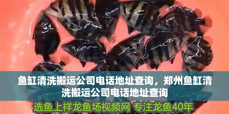 魚缸清洗搬運(yùn)公司電話地址查詢，鄭州魚缸清洗搬運(yùn)公司電話地址查詢
