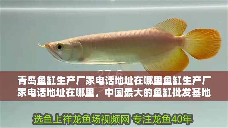 青島魚缸生產(chǎn)廠家電話地址在哪里魚缸生產(chǎn)廠家電話地址在哪里，中國最大的魚缸批發(fā)基地在哪里