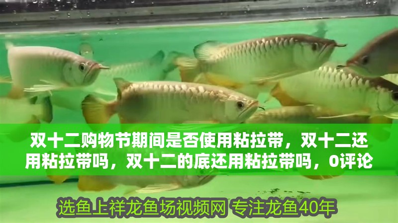 雙十二購物節期間是否使用粘拉帶，雙十二還用粘拉帶嗎，雙十二的底還用粘拉帶嗎，0評論，長兩米，寬七百