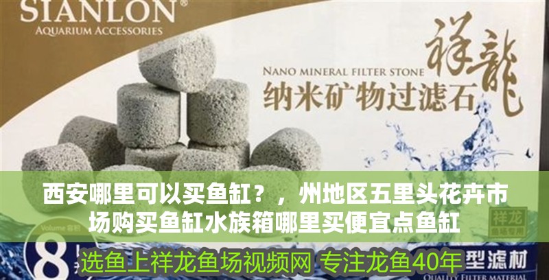 西安哪里可以買(mǎi)魚(yú)缸？，州地區(qū)五里頭花卉市場(chǎng)購(gòu)買(mǎi)魚(yú)缸水族箱哪里買(mǎi)便宜點(diǎn)魚(yú)缸