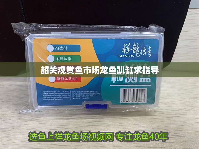 韶關觀賞魚市場龍魚趴缸求指導