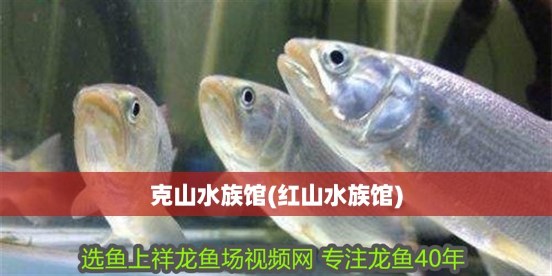 克山水族館(紅山水族館)