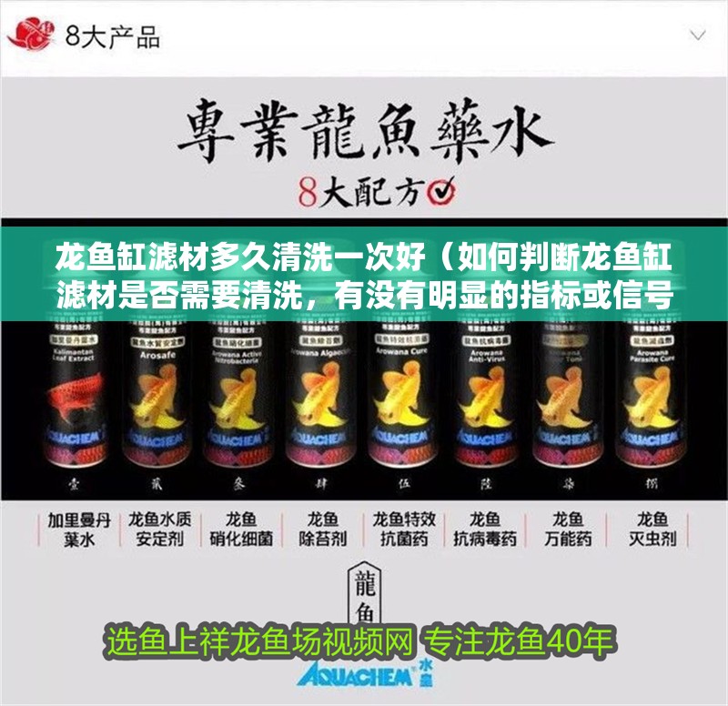 龍魚缸濾材多久清洗一次好（如何判斷龍魚缸濾材是否需要清洗，有沒有明顯的指標或信號？）