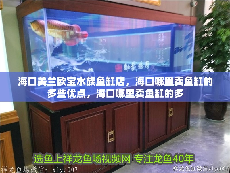 ?？诿捞m歐寶水族魚缸店，海口哪里賣魚缸的多些優點，?？谀睦镔u魚缸的多