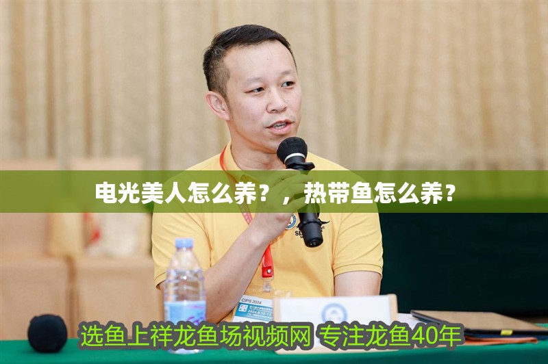 電光美人怎么養？，熱帶魚怎么養？