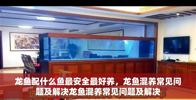 龍魚配什么魚最安全最好養，龍魚混養常見問題及解決龍魚混養常見問題及解決