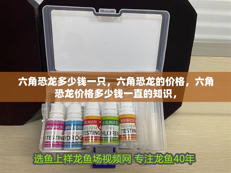 六角恐龍多少錢一只,六角恐龍的價格,六角恐龍價格多少錢一直的知識,