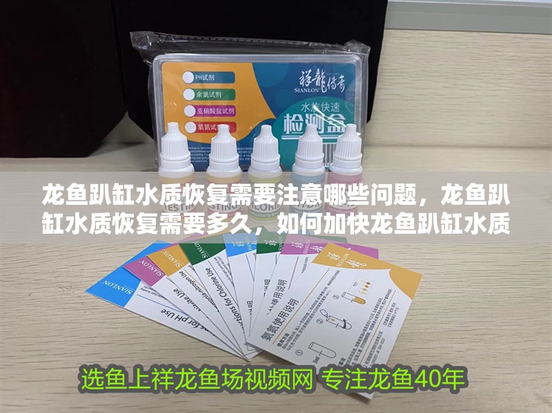 龍魚趴缸水質(zhì)恢復(fù)需要注意哪些問題，龍魚趴缸水質(zhì)恢復(fù)需要多久，如何加快龍魚趴缸水質(zhì)恢復(fù)