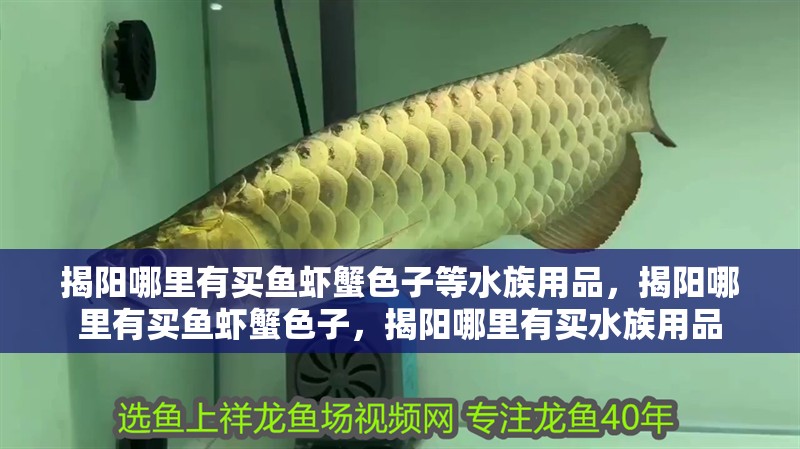 揭陽哪里有買魚蝦蟹色子等水族用品，揭陽哪里有買魚蝦蟹色子，揭陽哪里有買水族用品
