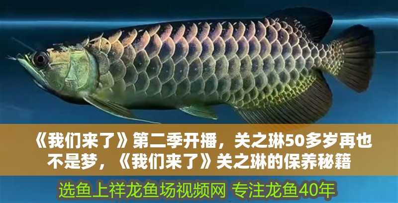 《我們來了》第二季開播，關之琳50多歲再也不是夢，《我們來了》關之琳的保養秘籍