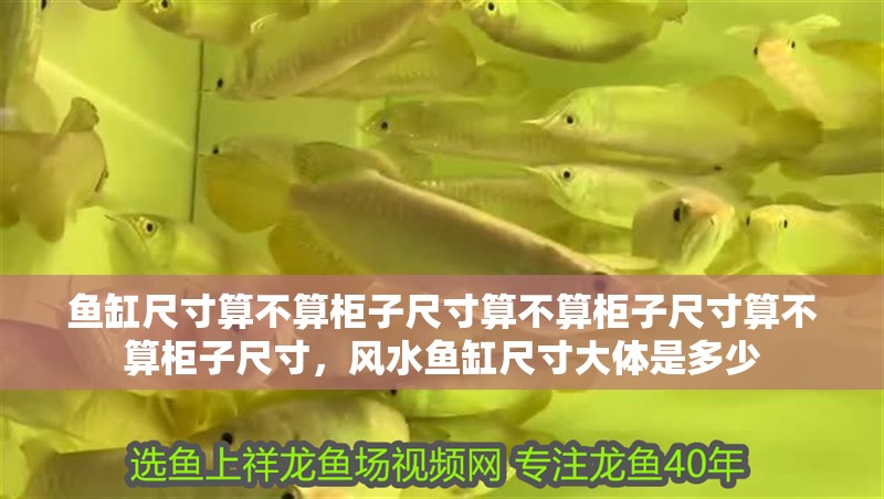 魚缸尺寸算不算柜子尺寸算不算柜子尺寸算不算柜子尺寸，風水魚缸尺寸大體是多少