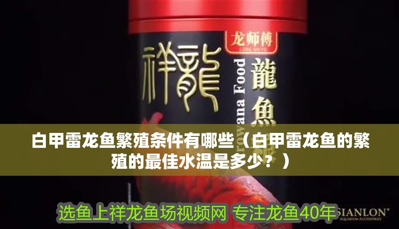 白甲雷龍魚繁殖條件有哪些（白甲雷龍魚的繁殖的最佳水溫是多少？）