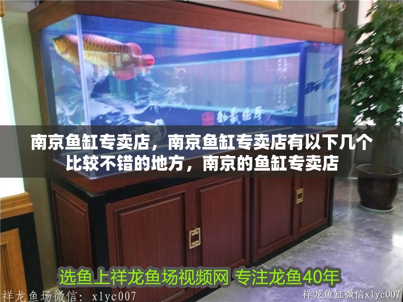南京魚缸專賣店，南京魚缸專賣店有以下幾個比較不錯的地方，南京的魚缸專賣店