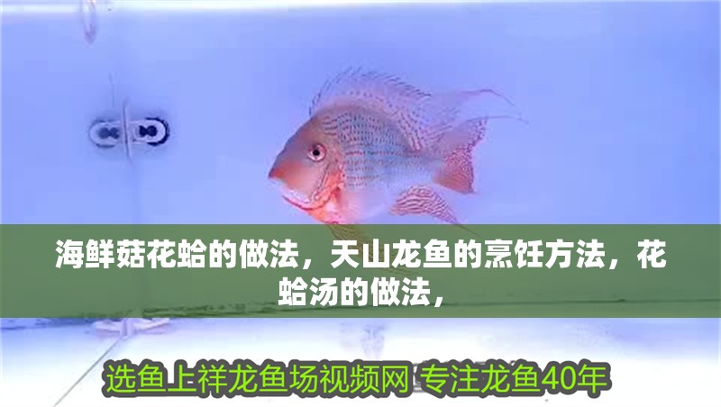 海鮮菇花蛤的做法，<strong><mark>天山</mark></strong>龍魚的烹飪方法，花蛤湯的做法，
