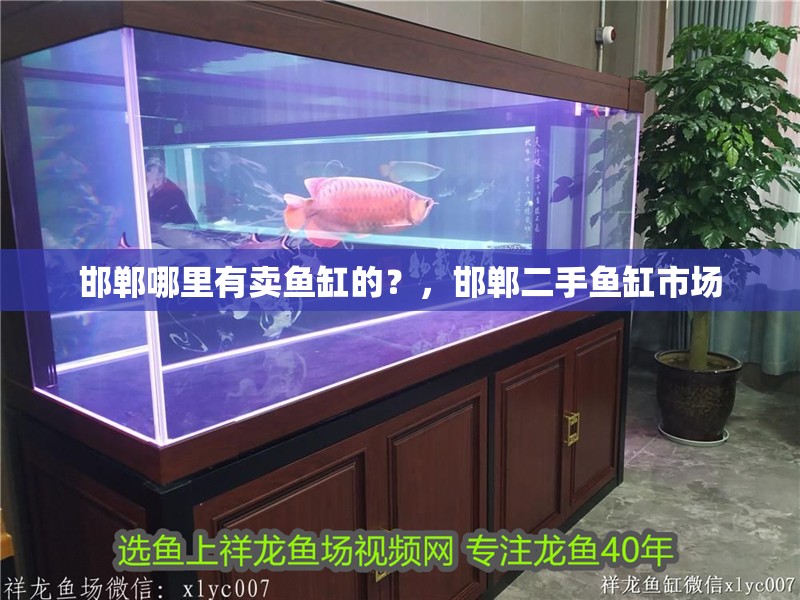 邯鄲哪里有賣魚(yú)缸的？，邯鄲二手魚(yú)缸市場(chǎng)
