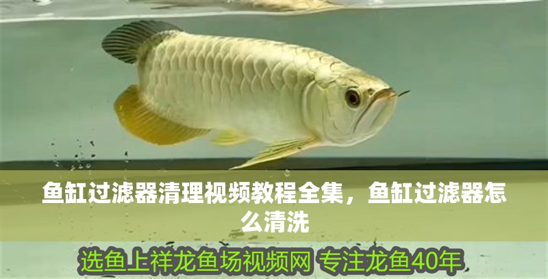 魚缸過濾器清理視頻教程全集，魚缸過濾器怎么清洗