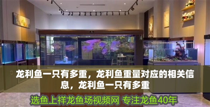 龍利魚一只有多重，龍利魚重量對應的相關信息，龍利魚一只有多重