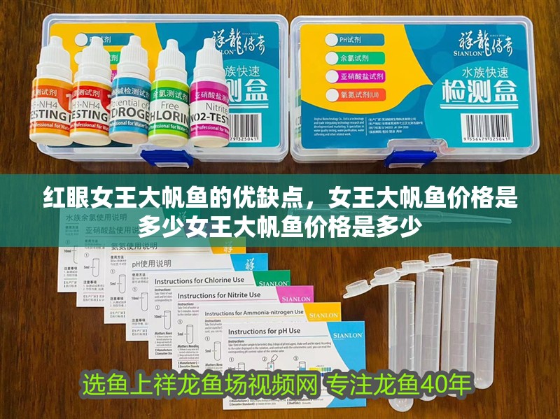 紅眼女王大帆魚的優(yōu)缺點，女王大帆魚價格是多少女王大帆魚價格是多少