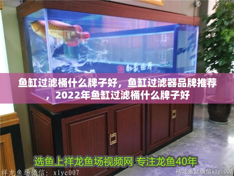 魚缸過濾桶什么牌子好，魚缸過濾器品牌推薦，2022年魚缸過濾桶什么牌子好