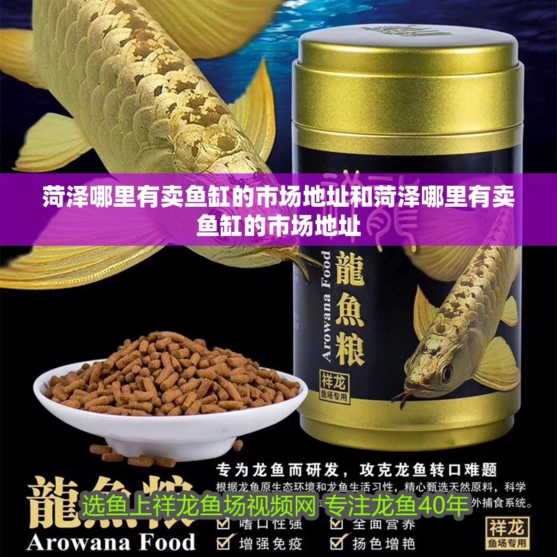 菏澤哪里有賣魚缸的市場地址和菏澤哪里有賣魚缸的市場地址