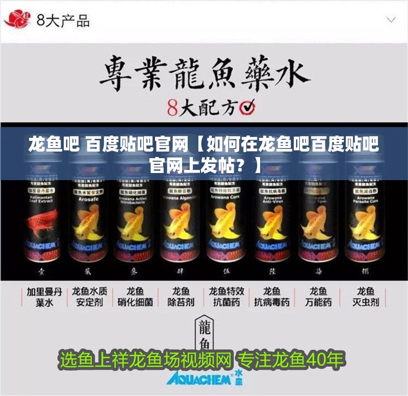 龍魚吧 百度貼吧官網【如何在龍魚吧百度貼吧官網上發帖？】