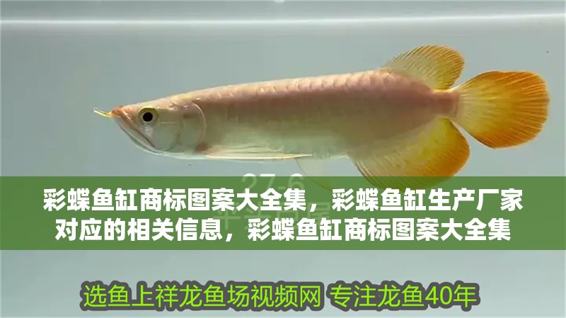 彩蝶魚(yú)缸商標(biāo)圖案大全集，彩蝶魚(yú)缸生產(chǎn)廠家對(duì)應(yīng)的相關(guān)信息，彩蝶魚(yú)缸商標(biāo)圖案大全集