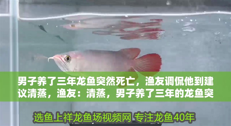 男子養(yǎng)了三年龍魚突然死亡，漁友調(diào)侃他到建議清蒸，漁友：清蒸，男子養(yǎng)了三年的龍魚突然死亡，網(wǎng)友：這是把龍魚變成自己身體的部分