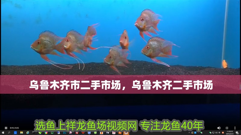 烏魯木齊市二手市場，烏魯木齊二手市場