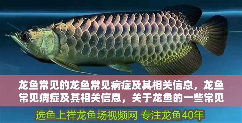 龍魚常見的龍魚常見病癥及其相關(guān)信息，龍魚常見病癥及其相關(guān)信息，關(guān)于龍魚的一些常見病癥癥狀和處理方法