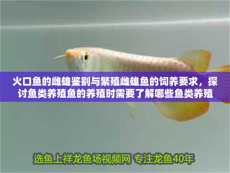 火口魚的雌雄鑒別與繁殖雌雄魚的飼養(yǎng)要求，探討魚類養(yǎng)殖魚的養(yǎng)殖時需要了解哪些魚類養(yǎng)殖時需要了解