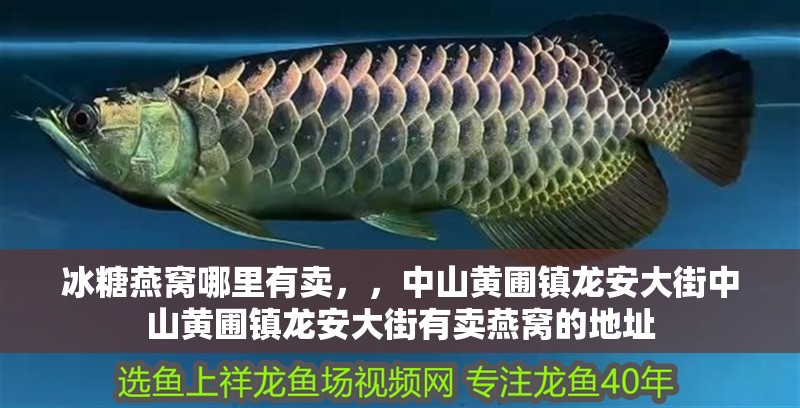 冰糖燕窩哪里有賣，，中山黃圃鎮(zhèn)龍安大街中山黃圃鎮(zhèn)龍安大街有賣燕窩的地址
