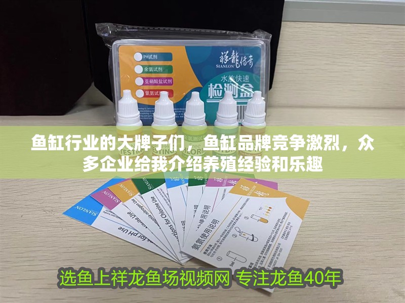 魚缸行業的大牌子們，魚缸品牌競爭激烈，眾多企業給我介紹養殖經驗和樂趣 魚缸行業的大牌子們，魚缸品牌競爭激烈，眾多企業給我介紹養殖經驗和樂趣 觀賞魚百科 第2張