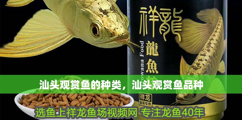 汕頭觀賞魚的種類，汕頭觀賞魚品種