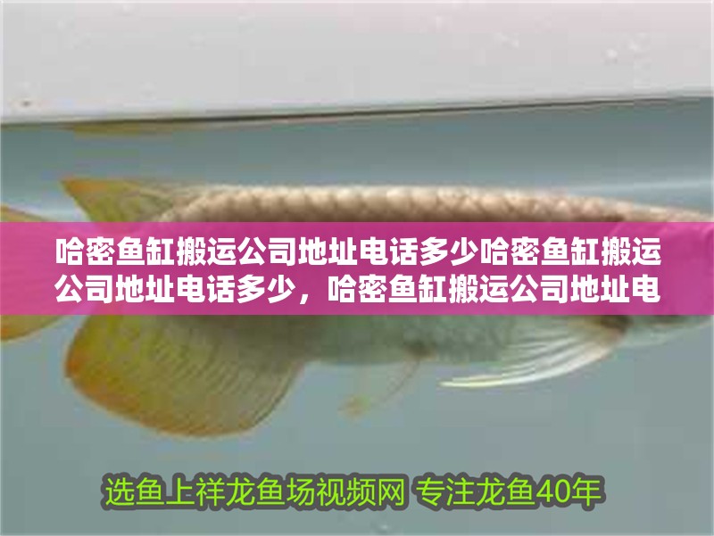 <strong><mark>哈密</mark></strong>魚缸搬運公司地址電話多少<strong><mark>哈密</mark></strong>魚缸搬運公司地址電話多少，<strong><mark>哈密</mark></strong>魚缸搬運公司地址電話多少