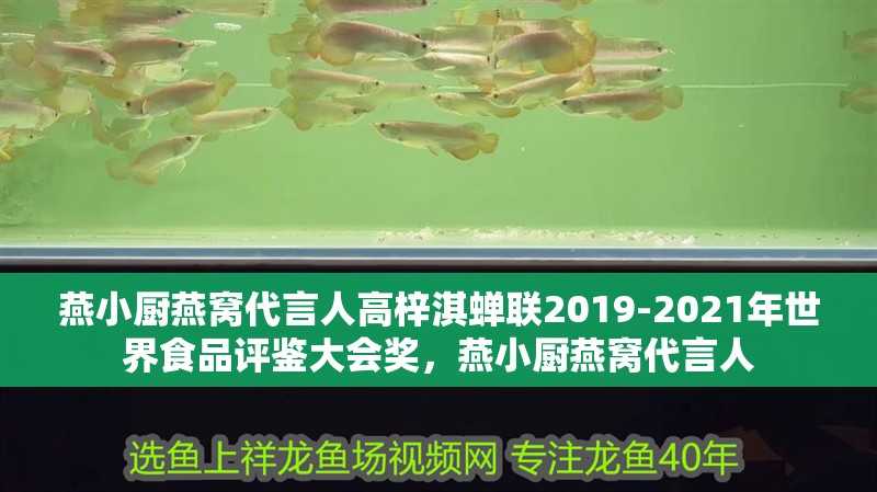 燕小廚燕窩代言人高梓淇蟬聯2019-2021年世界食品評鑒大會獎，燕小廚燕窩代言人