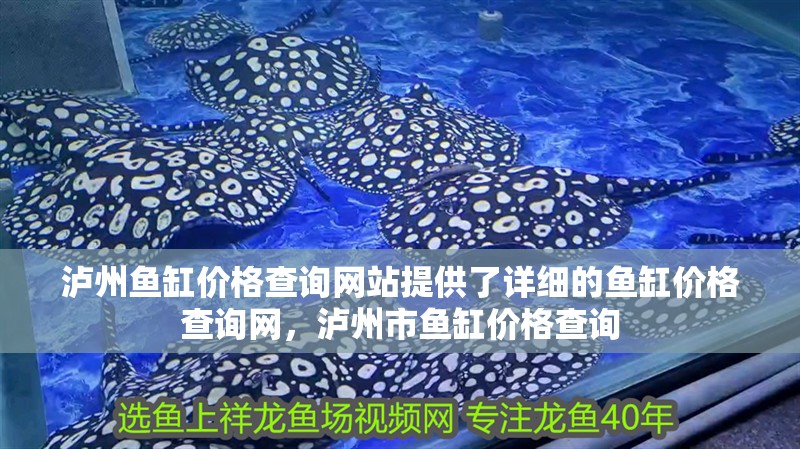 瀘州魚缸價格查詢網站提供了詳細的魚缸價格查詢網，瀘州市魚缸價格查詢