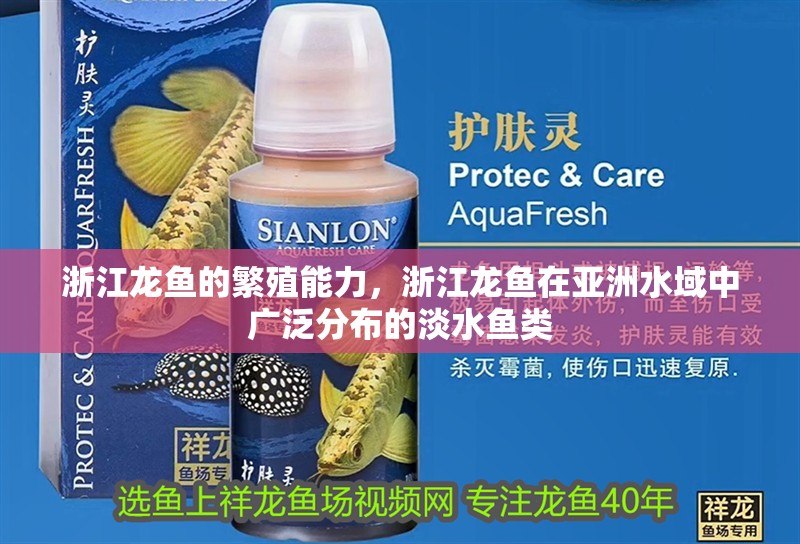 浙江龍魚的繁殖能力，浙江龍魚在亞洲水域中廣泛分布的淡水魚類